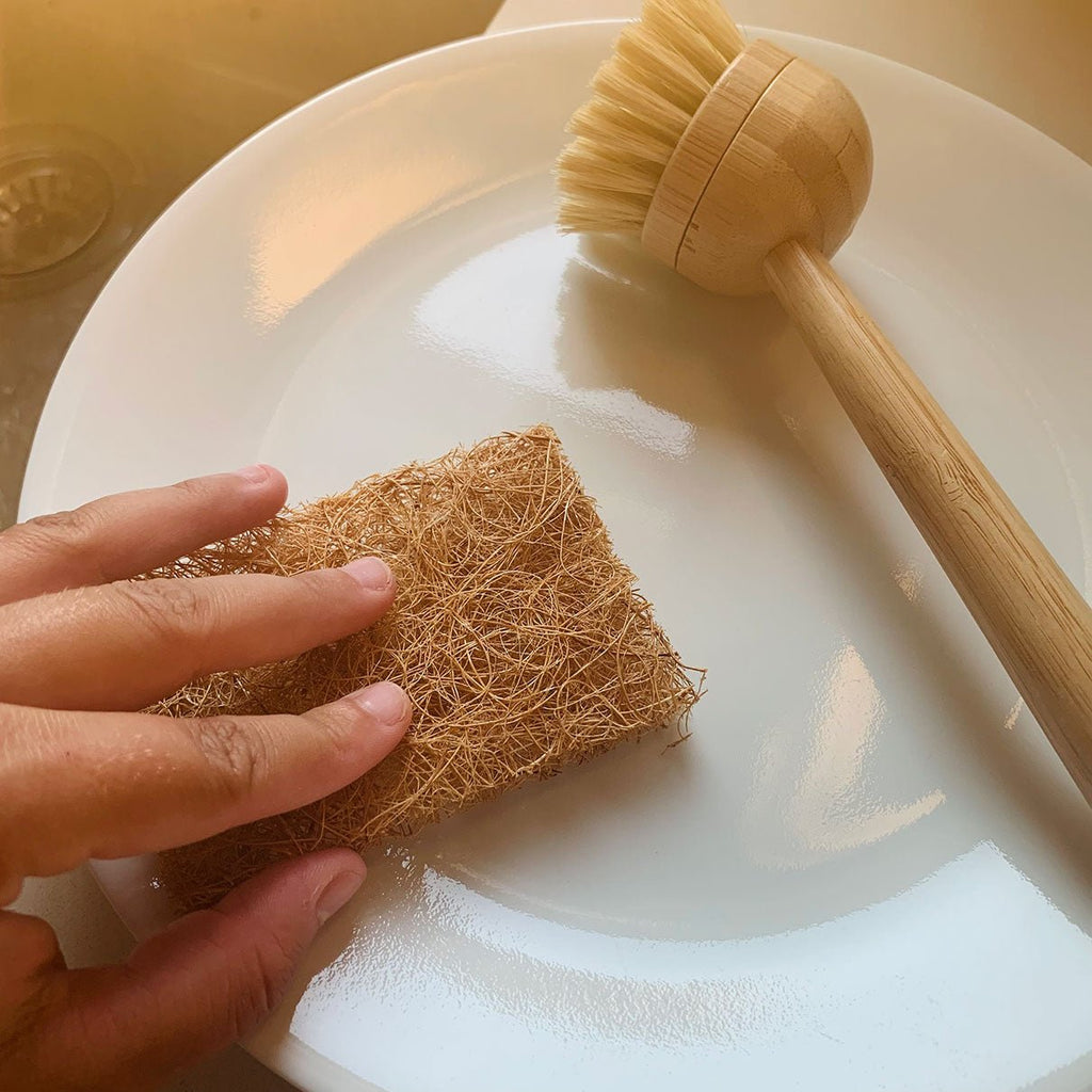 Brosse à vaisselle en bambou & Tampon à récurer biodégradable