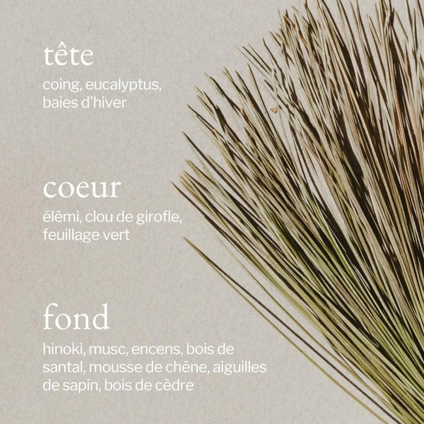Diffuseur à roseaux - Écorce de pin + Cèdre - Marie fil