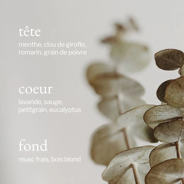 Diffuseur à roseaux - Eucalyptus, Menthe & Romarin - Marie fil