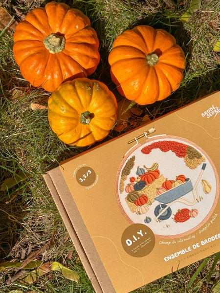Kit de broderie DIY - Champ de citrouilles - Marie fil