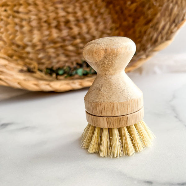 Pommeau à vaisselle et recharge - Marie fil